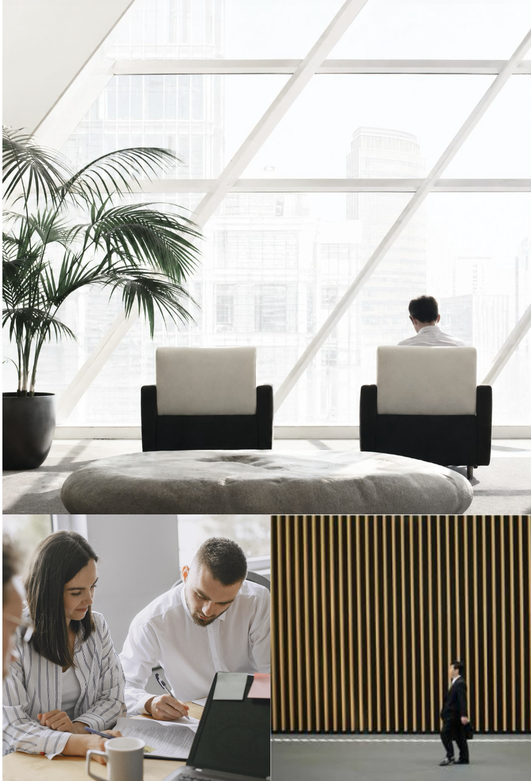 Equipo de Ameri Consulting en espacios de trabajo corporativos